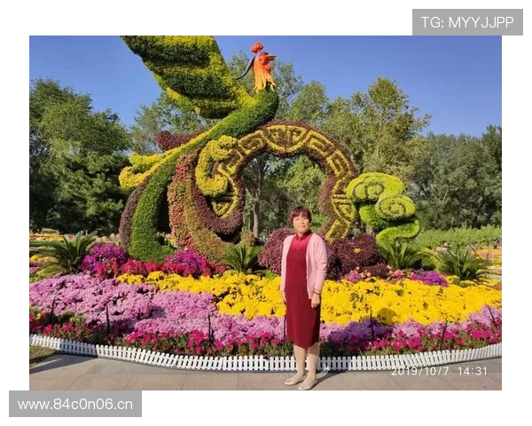 《探索体育世界的无限可能：从竞技场到全民健身的全景视角》 - 副本 (2) - 副本